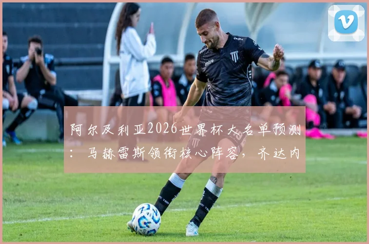 阿尔及利亚2026世界杯大名单预测:马赫雷斯领衔核心阵容,齐达内之子卢卡入选引关注,附球队阵容深度解析
